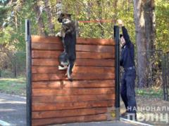 В Славянске открыли современный кинологический центр полиции