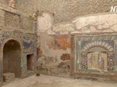 One of the most famous buildings of Herculaneum - the bicentennial house - reopened for tourists
