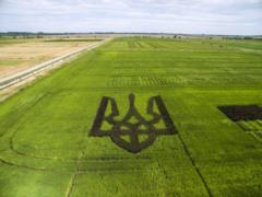 Большинство украинцев против отмены моратория на продажу земли
