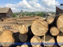 Rada banned the clear cutting of forests on the mountain slopes of the Carpathians