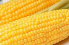 Сладкая кукуруза быстро выводит алкоголь из организма