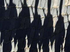 Media: New details of the mass shooting reveal the dark inside of the Russian armed forces