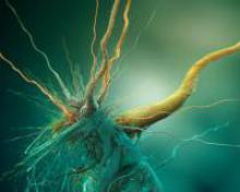 A quick cancer test reveals cell mutations 10 years before a tumor