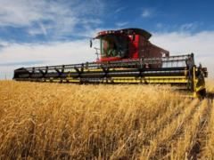 Урожай зерновых в Украине в этом году предварительно составит 74 млн тонн