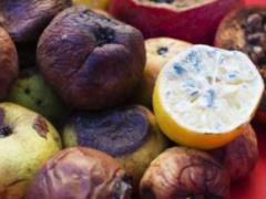 Как спасти испортившиеся продукты: даем еде второй шанс