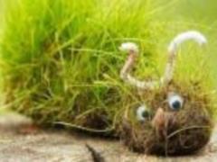 Признаки, указывающие на наличие глистов в организме