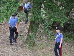 В Італії дикий кабан знайшов і знищив запаси кокаїну на 20 тисяч євро