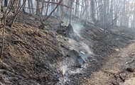 In Crimea, the second major forest fire per day