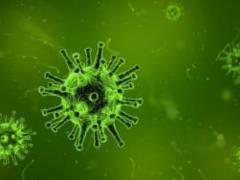 Scientists have found a new virus in the human body
