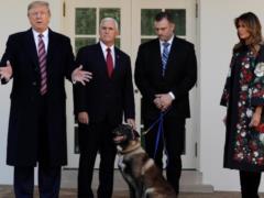 Трамп наградил пса участвовавшего в ликвидации аль-Багдади