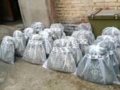 Сообщено о подозрении основателю компании-поставщика бронежилетов для ВСУ