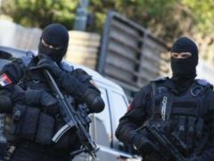 Неподалеку от Белграда нашли 4 тонны конопли