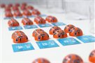 Жеребьевка Евро-2020: Германия сыграет с Францией и другие группы