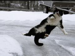 Snow and frost are expected in Ukraine, sleet in places