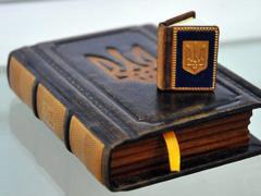 Rada adopted a bill to postpone the law on criminal misconduct