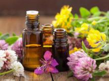 Some aspects of the possible treatment of genital warts