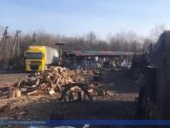 На Львівщині викрили схему незаконної вирубки лісу