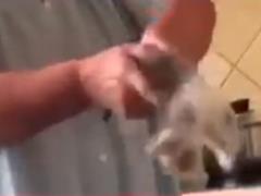 В Харькове по факту издевательств над котенком завели уголовное производство