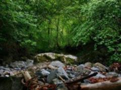 Вологий клімат збільшує ризик розвитку раку