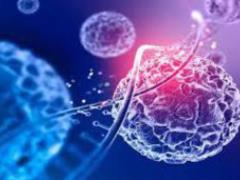 In China, found a new method to combat especially severe breast cancer