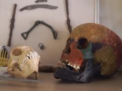 A unique archaeological exhibition has opened in Kharkov