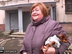 Донбасс.Реалии: Что будет с группировками  ДНР  и  ЛНР  в 2020?