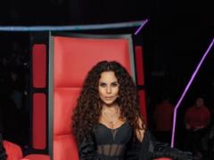  Голос країни-10 : NK станет тренером юбилейного сезона шоу