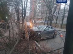 In Kharkov, a drunk driver on an Audi demolished a tree