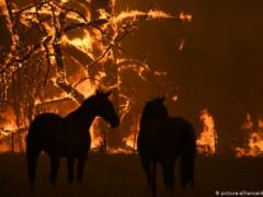 Australia for the first time in history engages military to deal with forest fires