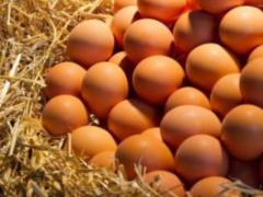 Нужно ли мыть куриные яйца перед едой: ответ экспертов