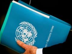 СМИ: Украина вышла из комитета ООН по правам палестинцев