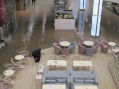 GSChS: The work of the capital shopping center Ocean Plaza is temporarily stopped
