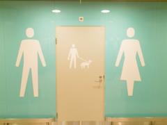 В аэропорту Хельсинки появились специальные туалеты для собак