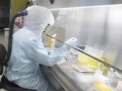 Первые тесты для выявления коронавируса прибыли в Украину