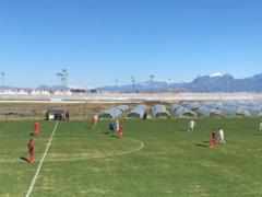Заря – Флямуртари 1:0 Видео гола и обзор матча