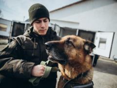 У самых необычных гвардейцев теперь есть собственный комфортный транспорт