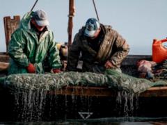 Задержанных ФСБ украинских рыбаков освободили