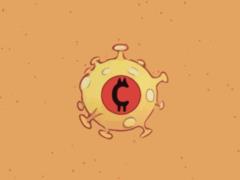 CoronaCoin – новая криптовалюта, напрямую связанная с заболеваемостью и смертностью от коронавируса