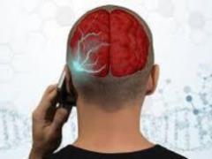 Названа опасность телефонов и компьютеров для мозга человека