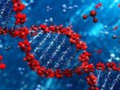 Scientists have discovered 15 genes that cause the rapid growth of squamous cell carcinoma of the head and neck