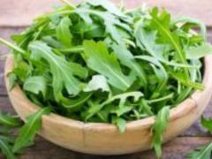 Полезные свойства рукколы, как ее сажают, выращивают и хранят