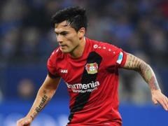 Arangis will extend the contract with Bayer