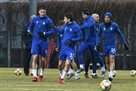 Динамо продлило карантин до 29 марта