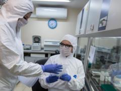 В Великобритании число умерших после заражения коронавирусом достигло 240
