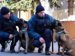 В период карантина харьковчане заботятся даже о самых необычных гвардейцах