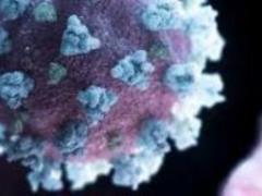 Experts gave advice on the prevention of coronavirus