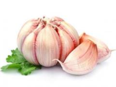 Названы популярные сочетания продуктов, которые на самом деле вредны