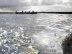 Названы опасные заболевания, вызываемые употреблением загрязненной воды