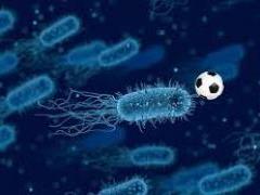 Experts told how the diet and intestinal microbiome are related
