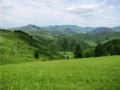 Риск преждевременной смерти связан с местом проживания